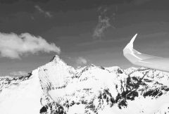 50° Trofeo Città di Torino 2023